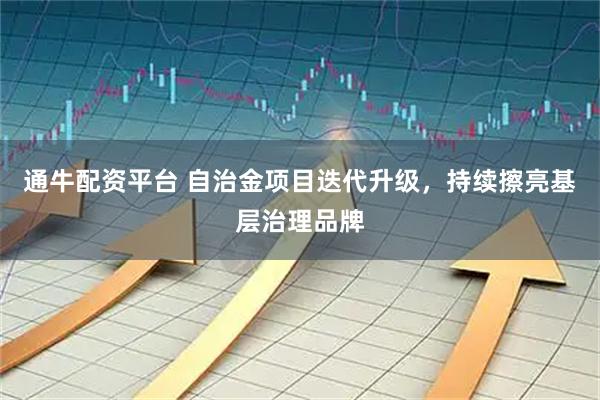 通牛配资平台 自治金项目迭代升级,持续擦亮基层治理品牌