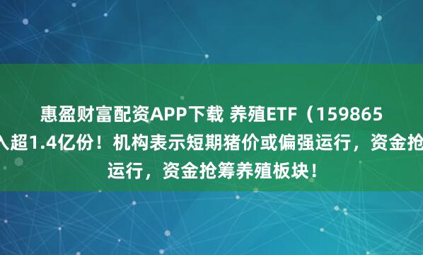 惠盈财富配资APP下载 养殖ETF(159865)盘中净流入超1.4亿份!机构表示短期猪价或偏强运行,资金抢筹养殖板块!
